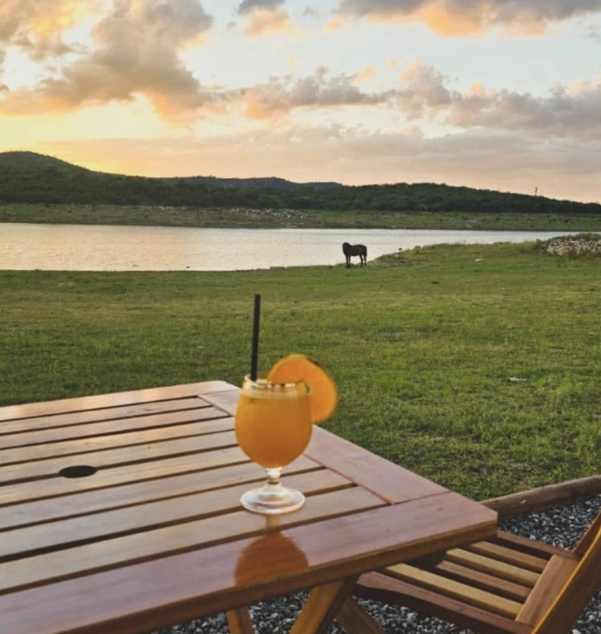Trago al atardecer junto al dique, con un caballo pastando